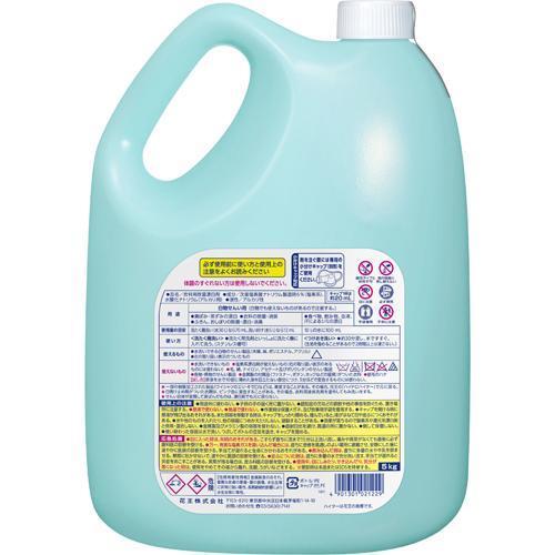 Kao（花王） 花王プロフェッショナル ハイターE ( 5Kg*3本セット