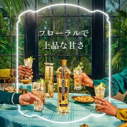サンジェルマン エルダーフラワー リキュール ( 750ml ) カクテル