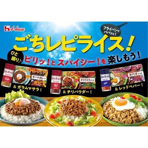 カレーライス ハウス ごちレピライス キーマカレー ( 145g*2箱セット