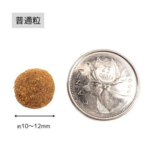 PK TripeDry グリーンビーフトライプ ( 230g ) ドッグフード : 爽快