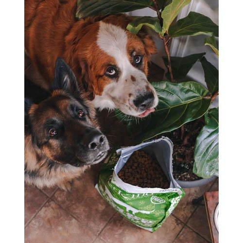 PK TripeDry グリーンビーフトライプ ( 230g ) ドッグフード : 爽快