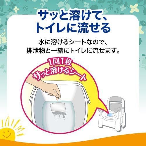 エールズ 介護用 消臭力 ポータブルトイレ消臭シート ( 30枚入*5袋