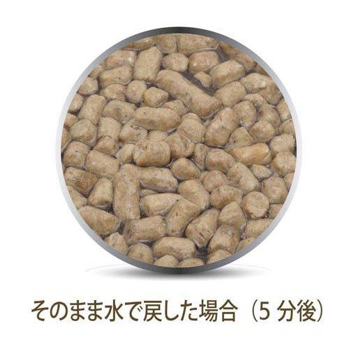 Feline Natural フリーズドライ チキン＆ラム ( 100g ) : 爽快ドラッグ