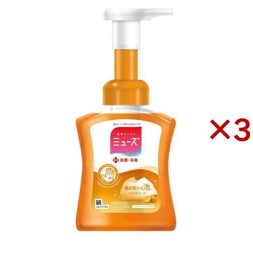 ミューズ 泡ハンドソープ フルーティフレッシュ 本体 ( 250ml*3個セット )/ ミューズ :94906:爽快ドラッグ - 通販 - Yahoo!ショッピング ミューズ 泡ハンドソープ フルーティフレッシュ 本体 ( 250ml*3個セット )/ ミューズ :94906:爽快ドラッグ - 通販 - Yahoo!ショッピング