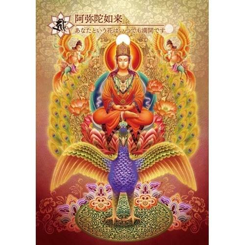 日本の密教カード ( 1セット )/ ヴィジョナリー・カンパニー : 爽快