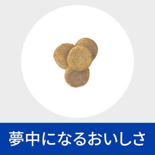 k/d チキン 腎臓ケア 猫用 特別療法食 キャットフード ドライ