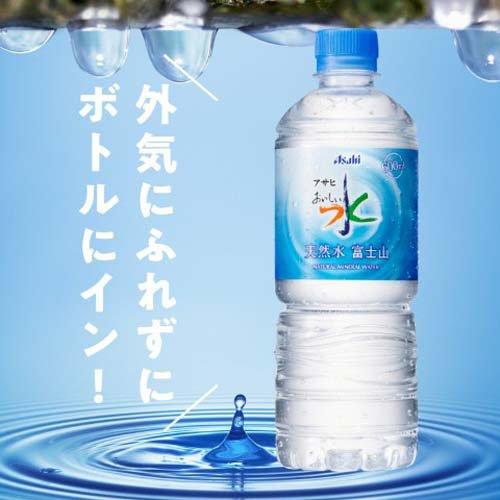 おいしい水 六甲 ( 600ml*24本入*2コセット )/ ミネラルウォーター