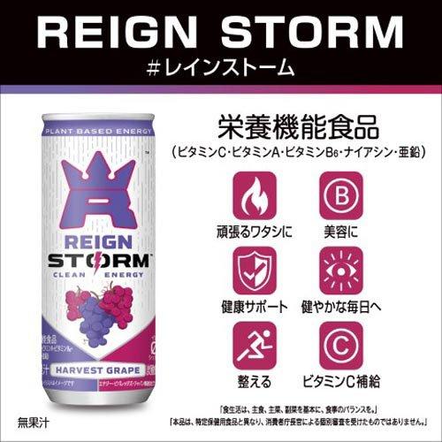 レインストーム ハーベストグレープ ( 250ml×30本入 )/ モンスター