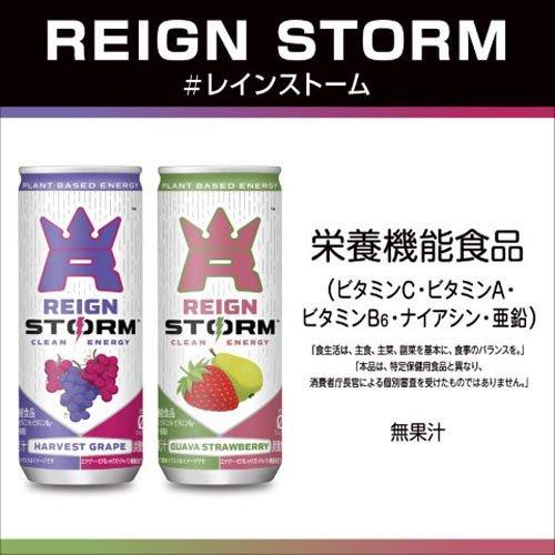 レインストーム ハーベストグレープ ( 250ml×30本入 )/ モンスター