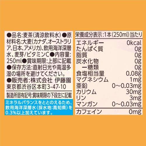 伊藤園 健康ミネラルむぎ茶 紙パック ( 250ml*24本入 )/ : 爽快
