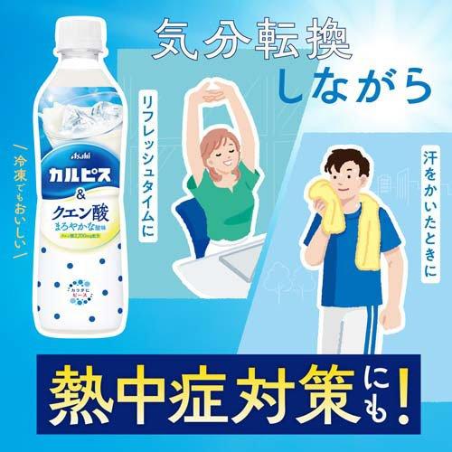 かるぴす カルピス＆クエン酸 ( 490ml×24本入 )/ カルピス : 爽快ドリンク専門店