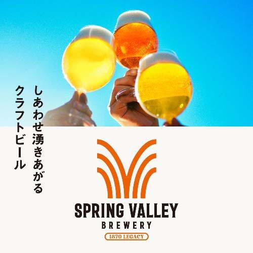 スプリングバレーブルワリー 豊潤ラガー 496 ( 500mL×24本入 )/ SPRING