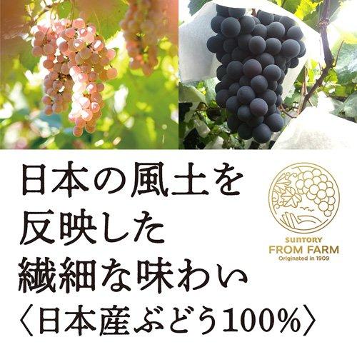 日本ワイン フロムファーム マスカット・ベーリーA 日本のロゼ ( 750ml )｜soukaidrink｜05