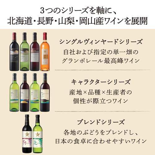 グランポレール 甲斐ノワール ( 750ml ) 日本ワイン 赤ワイン ギフト