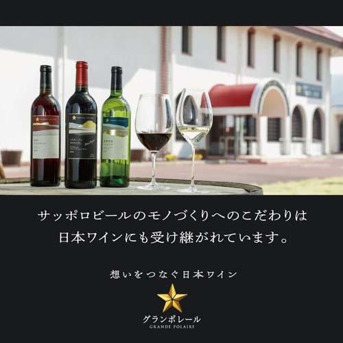 グランポレール 甲斐ノワール ( 750ml ) 日本ワイン 赤ワイン ギフト
