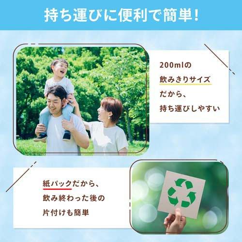 ピクニック カフェオレ ( 200ml*24本入 )/ ピクニック(Piknik) 紙
