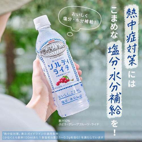 キリン 世界のキッチンから ソルティライチ ( 500ml*24本入