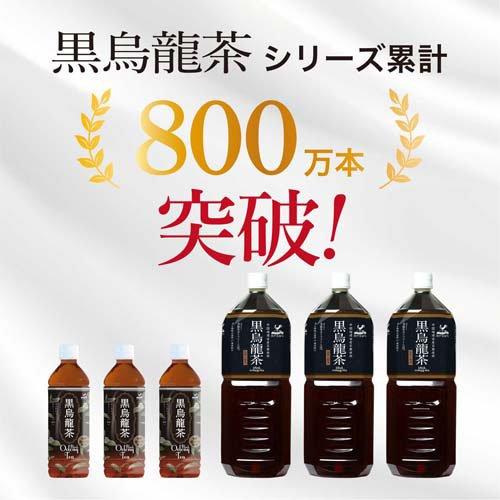 神戸居留地 黒烏龍茶 PET ( 500ml*24本入 )/ : 爽快ドリンク専門店