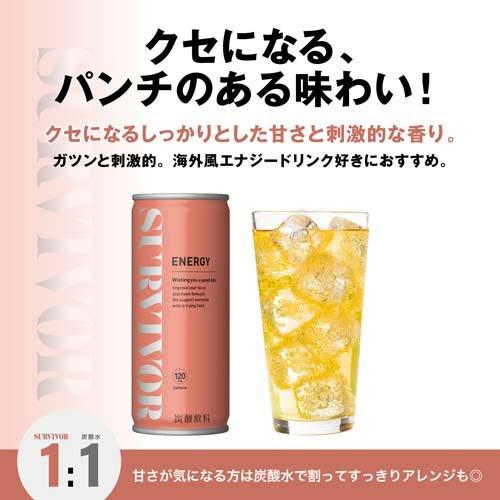 サバイバー エナジードリンク 缶 ( 250ml×30本 )/ 富永食品 : 爽快