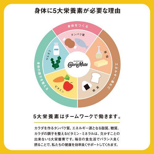カロリーメイト チョコレート味 ( 4本入*30コ入 )/ : 爽快 カロリーメイト チョコレート味 ( 4本入*30コ入 )/ : 爽快