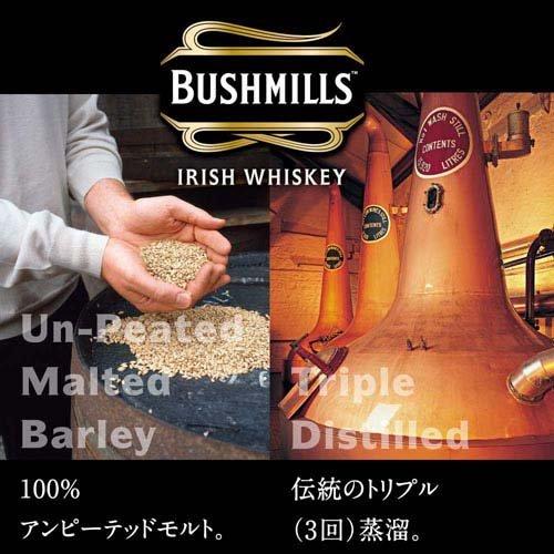ブッシュミルズ オリジナル ( 700ml )/ アサヒビール/ウイスキー