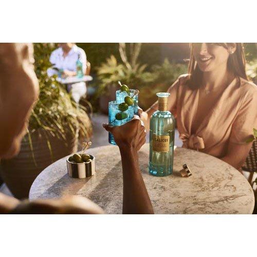 iv☆残量多☆ ボス ザ コレクション インビンシブル ベルガモット 100ml イタリカス ベルガモットリキュール 20度 軽やかな苦みとフローラルな