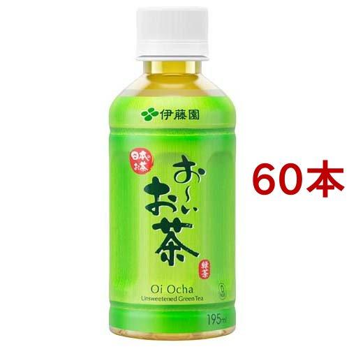 伊藤園 おーいお茶 緑茶 ホット兼用 ( 195ml*60本セット )/ お〜いお茶