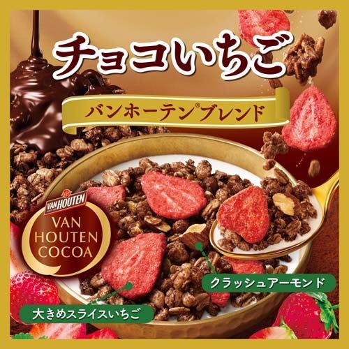 ごろグラチョコいちご バンホーテンブレンド ( 280g×12セット )/ ごろ