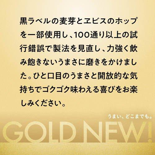 サッポロ GOLD STAR ( 24本入×2セット(1本500ml) )/ STAR（ゴールド