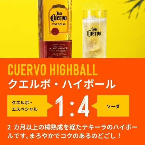 クエルボ エスペシャル ( 750ml×12セット )/ アサヒビール/テキーラ