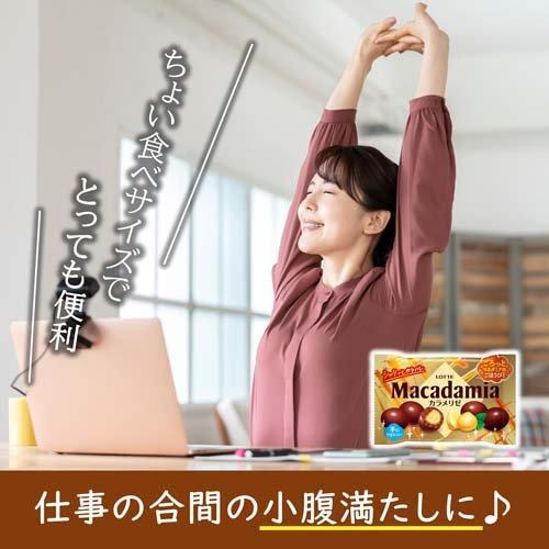 マカダミアチョコレートポップジョイ カラメリゼ ( 34g×20セット