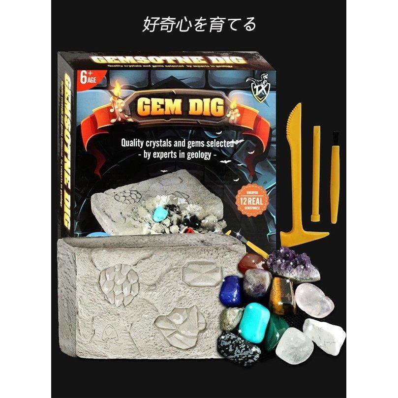 知育 おもちゃ 発掘 化石発掘キット 手先のトレーニング 発掘 Diyおもちゃ 宝石発掘 発掘ラッキーストーン 発掘 キット 玩具 幼稚園 子ども おもちゃ プレゼント P Sk生活館 通販 Yahoo ショッピング