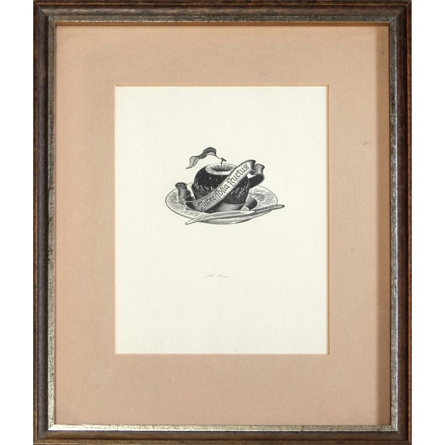 版画 n_a12909 柄澤齊 木口木版画集 | 阿部出版 | nostos books ノストスブックス