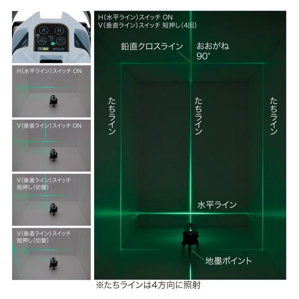 DENSAN（デンサン） グリーンレーザーポイントライナーセット LBP-6GR2 