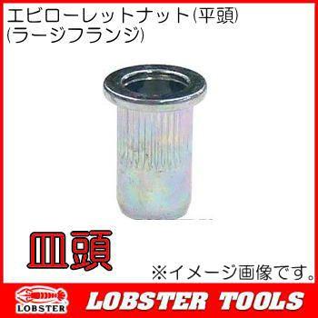 ロブテックス エビローレットナット(ラージフランジ) 1000本 ロブテックス エビローレットナット(ラージフランジ) 1000本