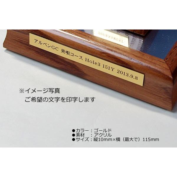 ゴルフボールケース・木製 UVカット＋記念プレート（文字入れ）付