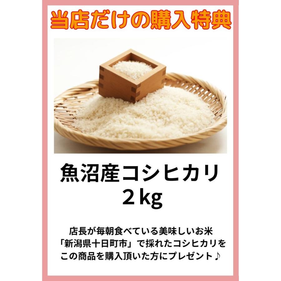 ヘッドホン型集音器 日本製 (フォンテック) Phontec 簡単操作で贈り物に人気 ギフトに喜ばれております 【魚沼産コシヒカリ2Kgプレゼント中】 | ブランド登録なし | 05
