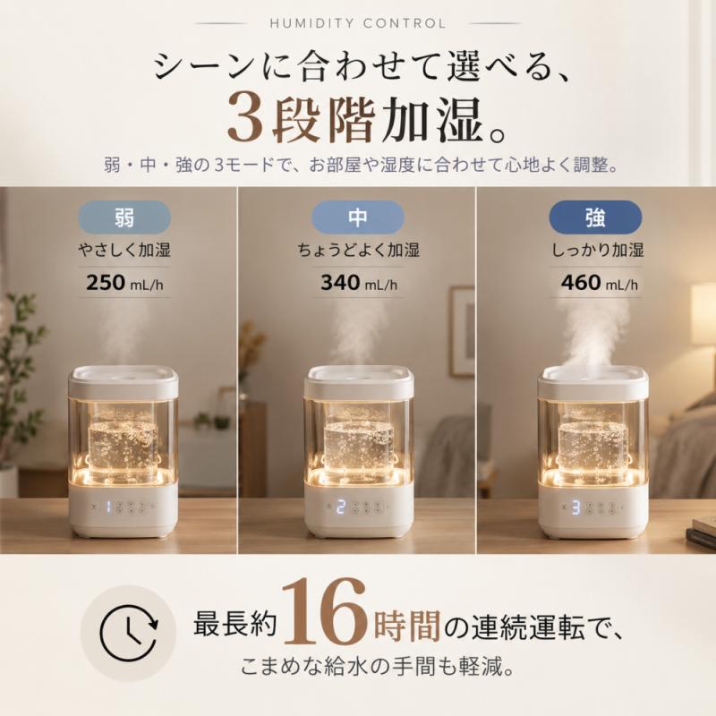 GLASS 【予約販売限定 4,000円OFFクーポン配布中！】 ガラススチーム