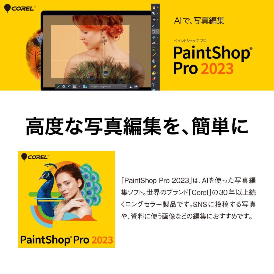 ソースネクスト（SOURCENEXT） PaintShop Pro 2023 最新 DL_SNR