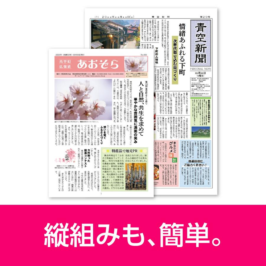 12050 ソースネクスト ｜パーソナル編集長 Ver.16 カード版 たのめーる】ソースネクスト パーソナル編集長 Ver.16 1本の通販