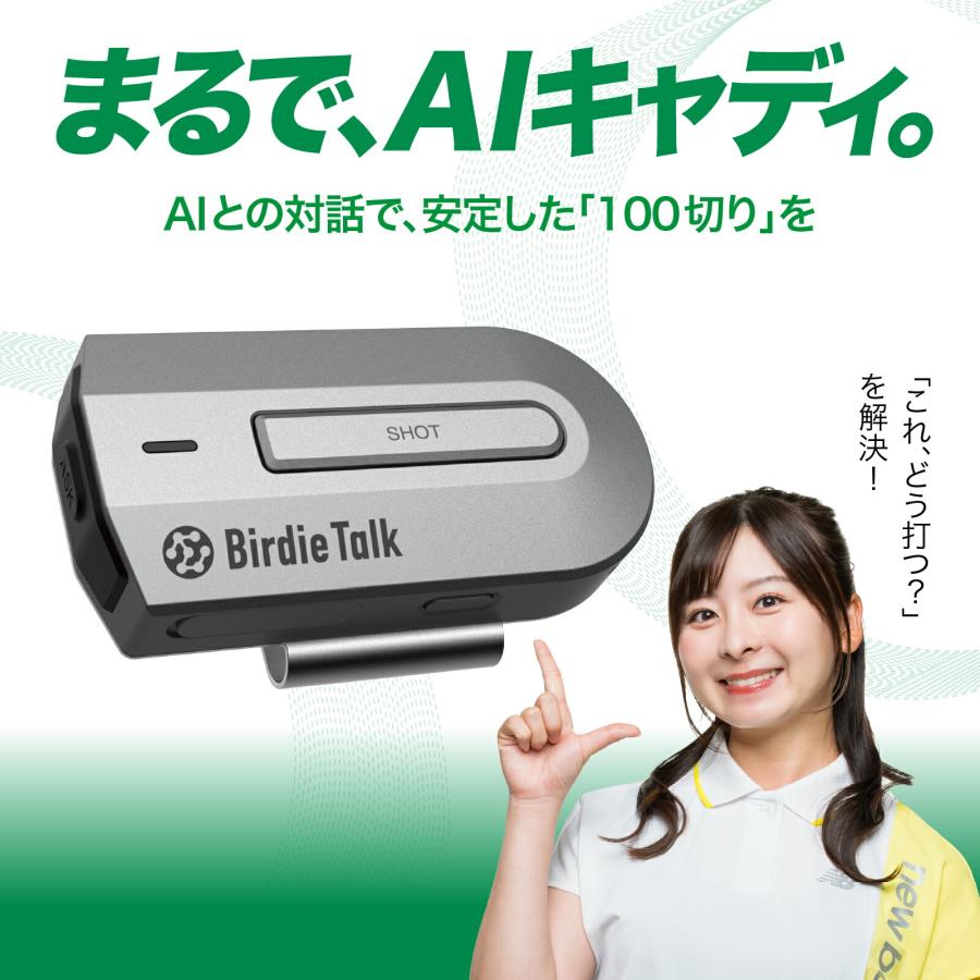ソースネクスト BirdieTalk バーディトーク グレー BT1GY +