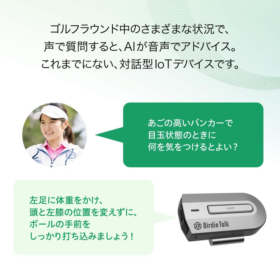 BirdieTalk バーディトーク グレー BT1GY + ワイド延長保証サービス 