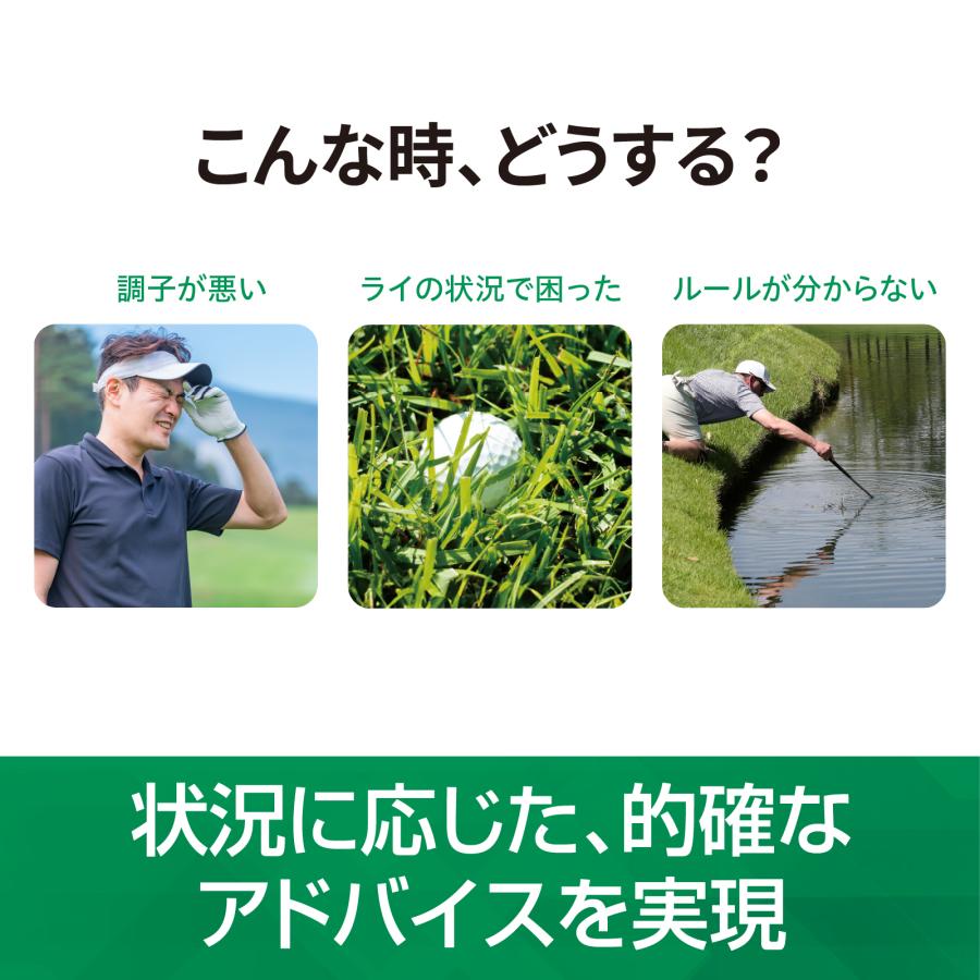 BirdieTalk バーディトーク グレー BT1GY + ワイド延長保証サービス