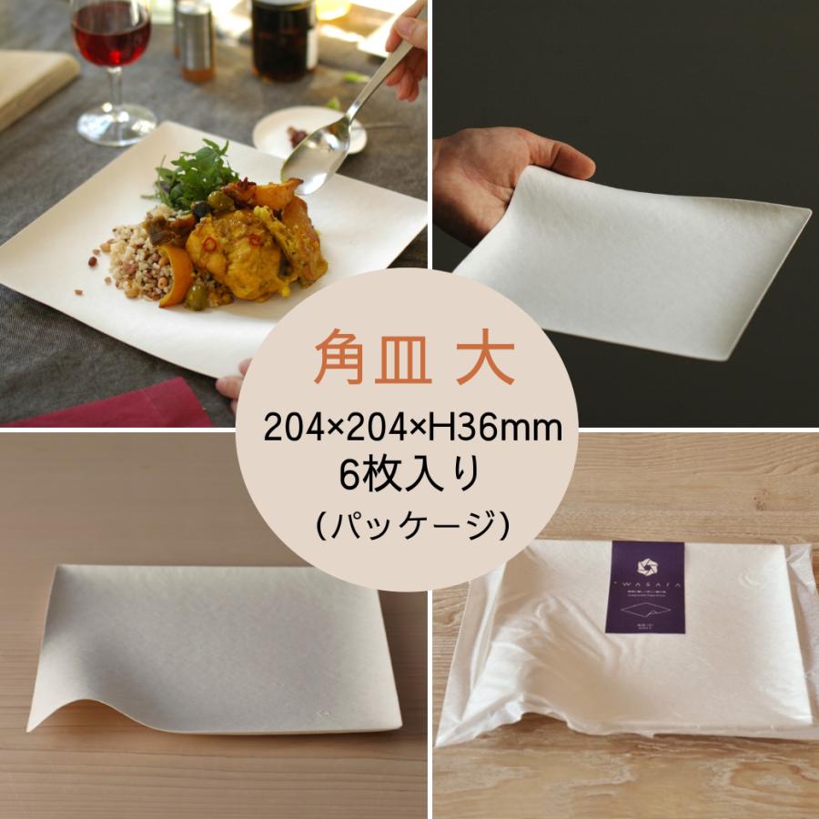 おしゃれなお皿￼6枚￼ 51+hyz+aV8L._AC_UL210_SR210,