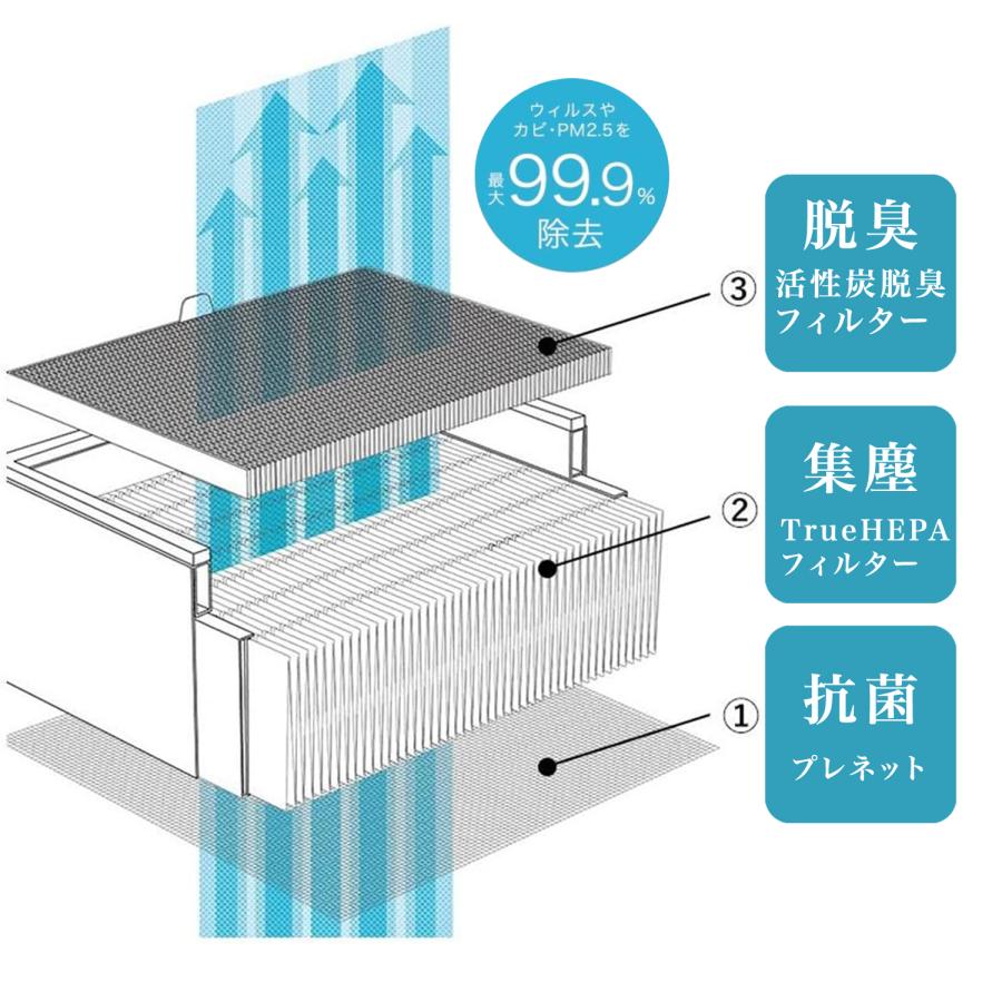 【BALMUDA】美品 空気清浄機 The Pure 新品フィルターに交換済み バルミューダ、天井まで届く大風量を実現した空気清浄機「BALMUDA The