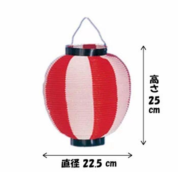 下野装飾 ポリ提灯 大ニ色 赤／白 H25×W22.5cm ／ ちょうちん お祭り