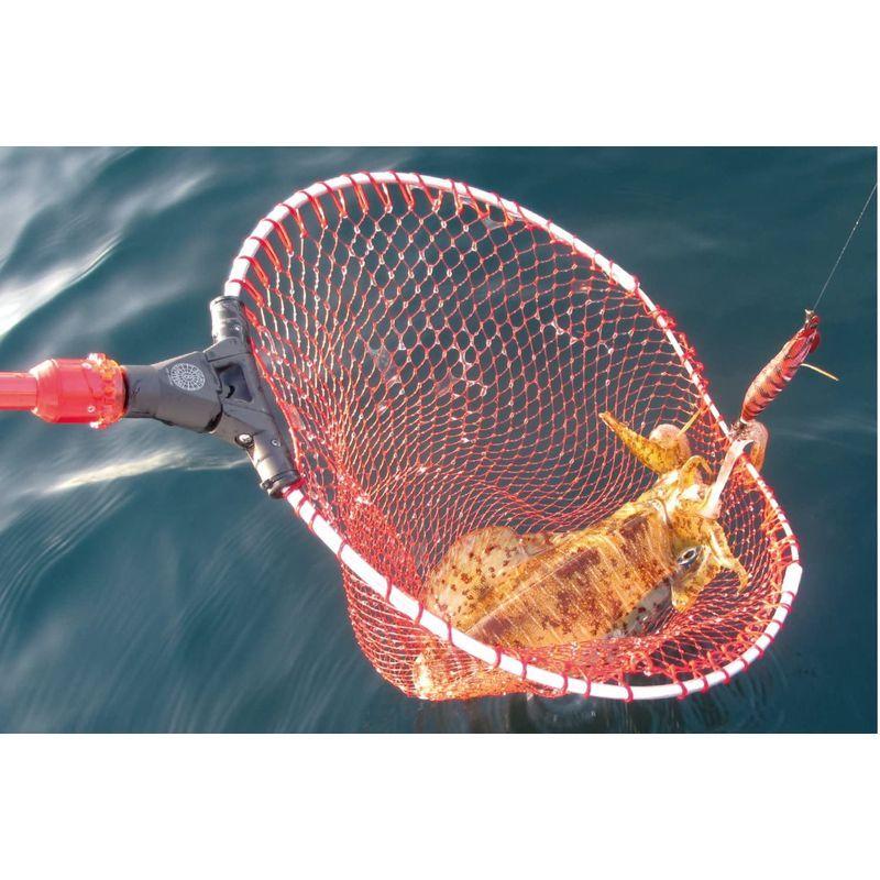 第一精工 オートキングフレーム 38-350Tガンメタ 32085     商品情報    【商品名】　第一精工 オートキングフレーム 38-350Tガンメタ 3208