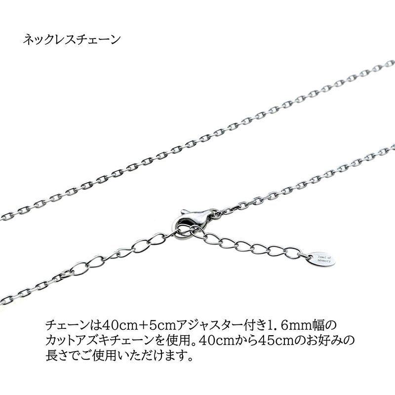 Jewel of Memory 遺骨ペンダント 遺骨ネックレス 手元供養 メモリアル 遺骨入れ ステンレス 316L メンズ レディース ム of Memory 遺骨ペンダント 遺骨ネックレス 手元供養 メモリアル 遺骨入れ ステンレス 316L メンズ レディース ム