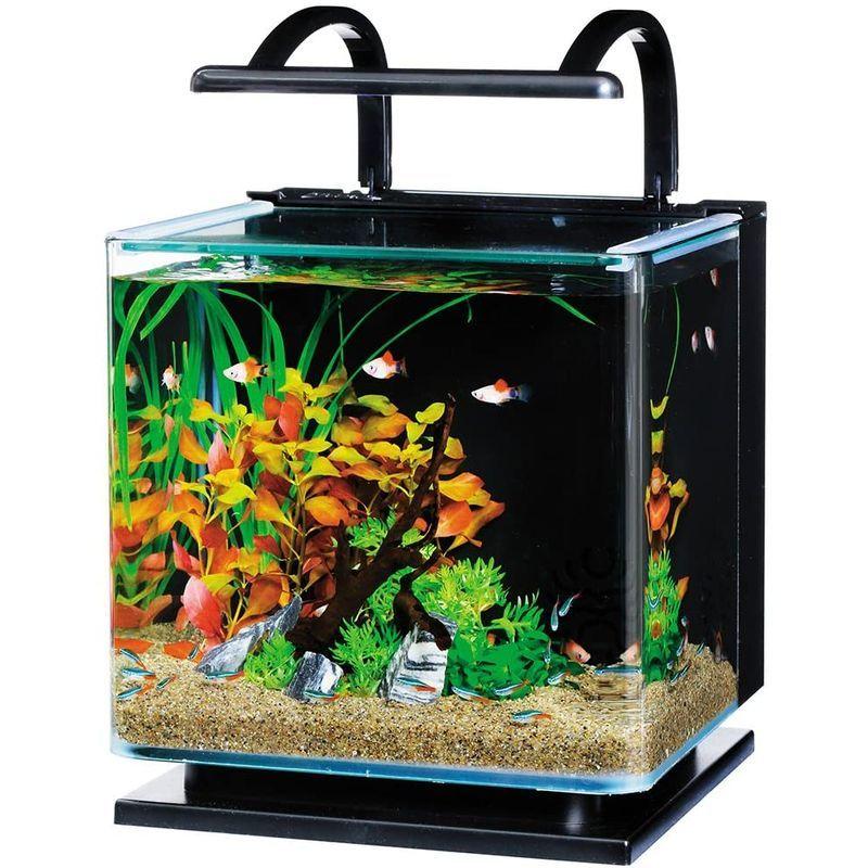 テトラ Tetra リビングキューブ 12 オールインワン水槽 淡水 海水用 容量 約12l 水槽 アクアリウム 熱帯魚 メダカ 金 蒼店 通販 Yahoo ショッピング