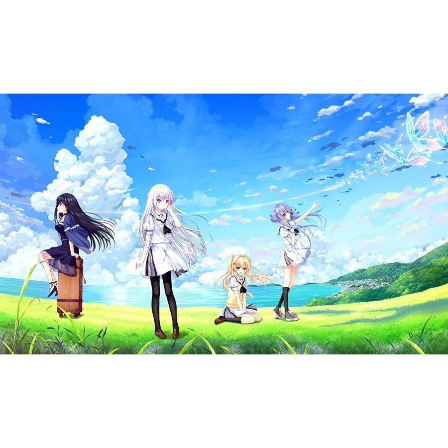 人気の新作 Summer Pockets 初回限定版 ソフト コード販売 Raffles Mn